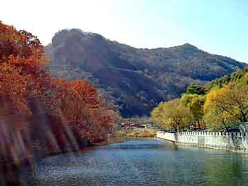 天天彩好彩天天免费，韶山黑帽seo